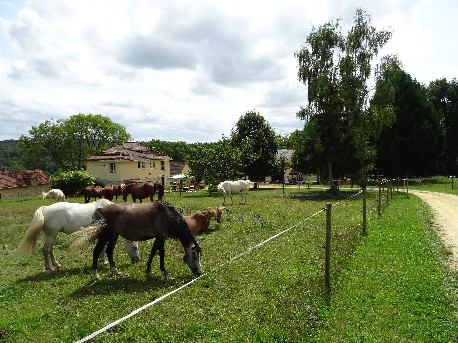 Gite equestre cheval Lacropte en Dordogne Périgord photo 3