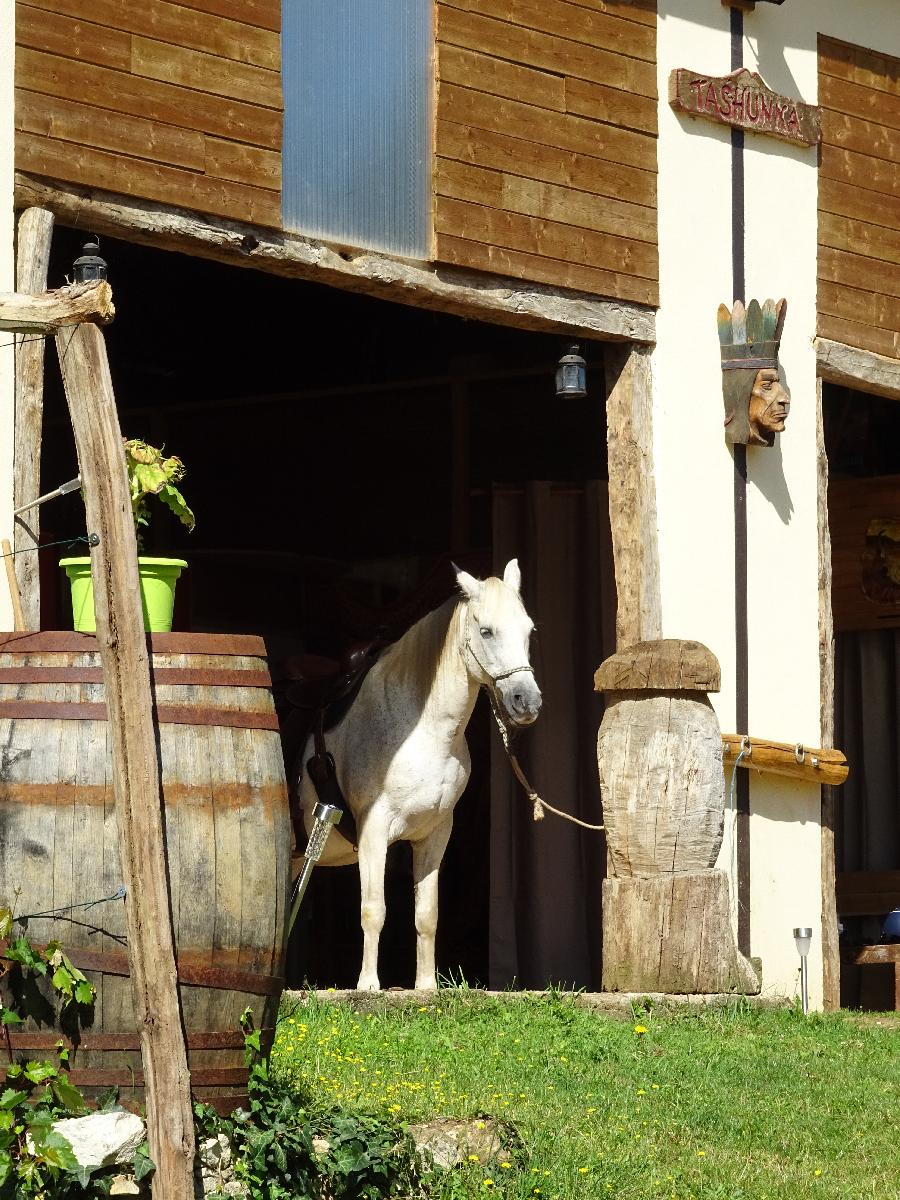 Gite equestre cheval Lacropte en Dordogne Périgord photo 4