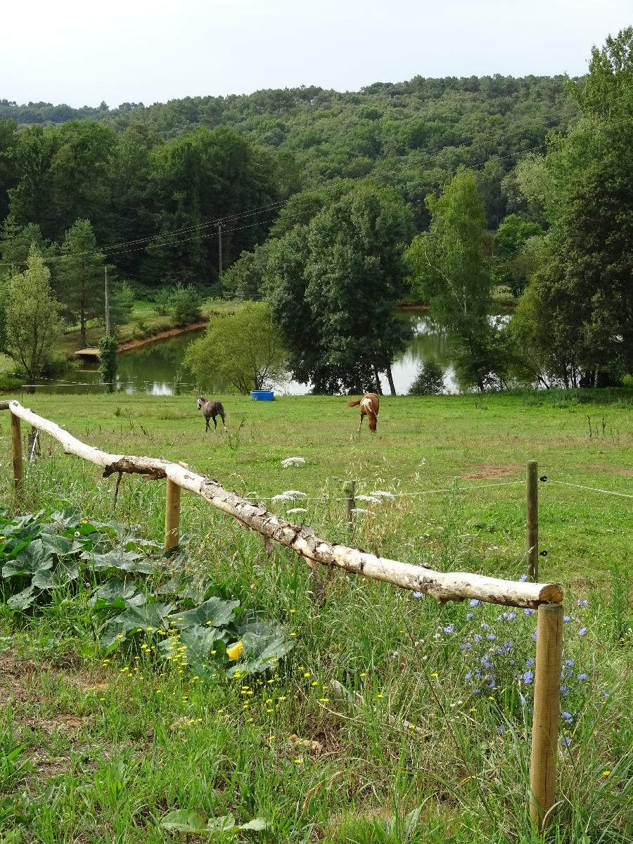 Gite equestre cheval Lacropte en Dordogne Périgord photo 6