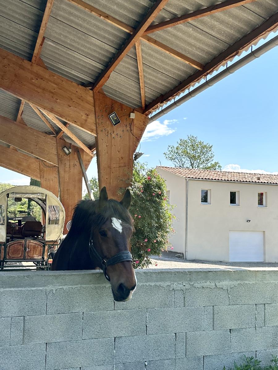 Gite equestre cheval Forcalquier dans les Alpes de Haute-Provence Provence