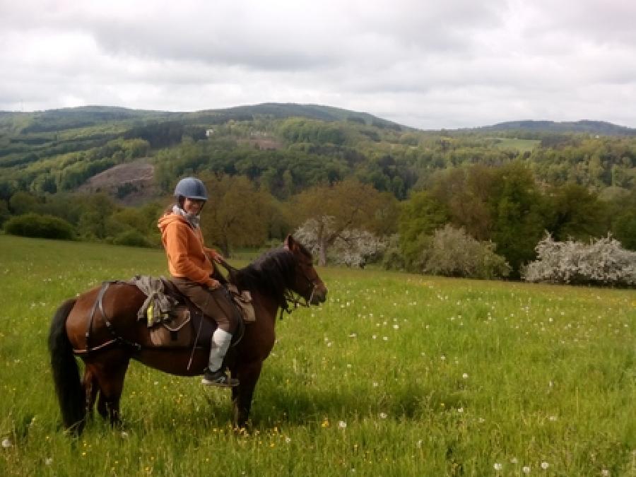 Gite equestre cheval Saint-Clément dans l'Allier Montagne Bourbonnaise photo 6