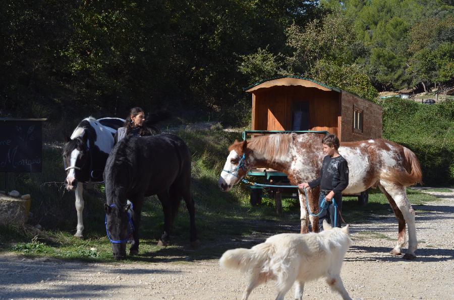 Gite equestre cheval Esparron de verdon dans les Alpes de Haute-Provence 