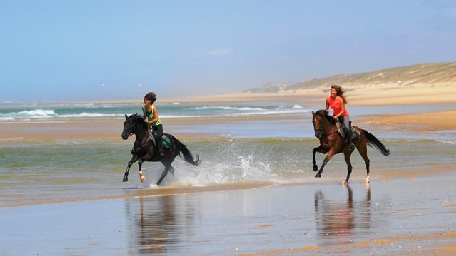 Gite equestre cheval Mimizan dans les Landes Côte Atlantique Landaise photo 6