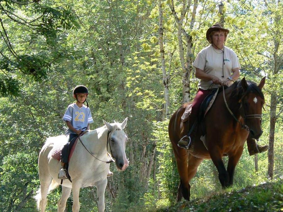 Gite equestre cheval Mont-Roc dans le Tarn PNR du Haut-Languedoc photo 3