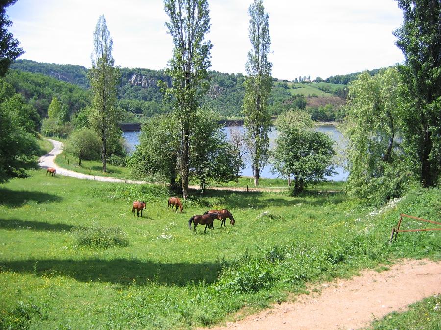Gite equestre cheval Mont-Roc dans le Tarn PNR du Haut-Languedoc