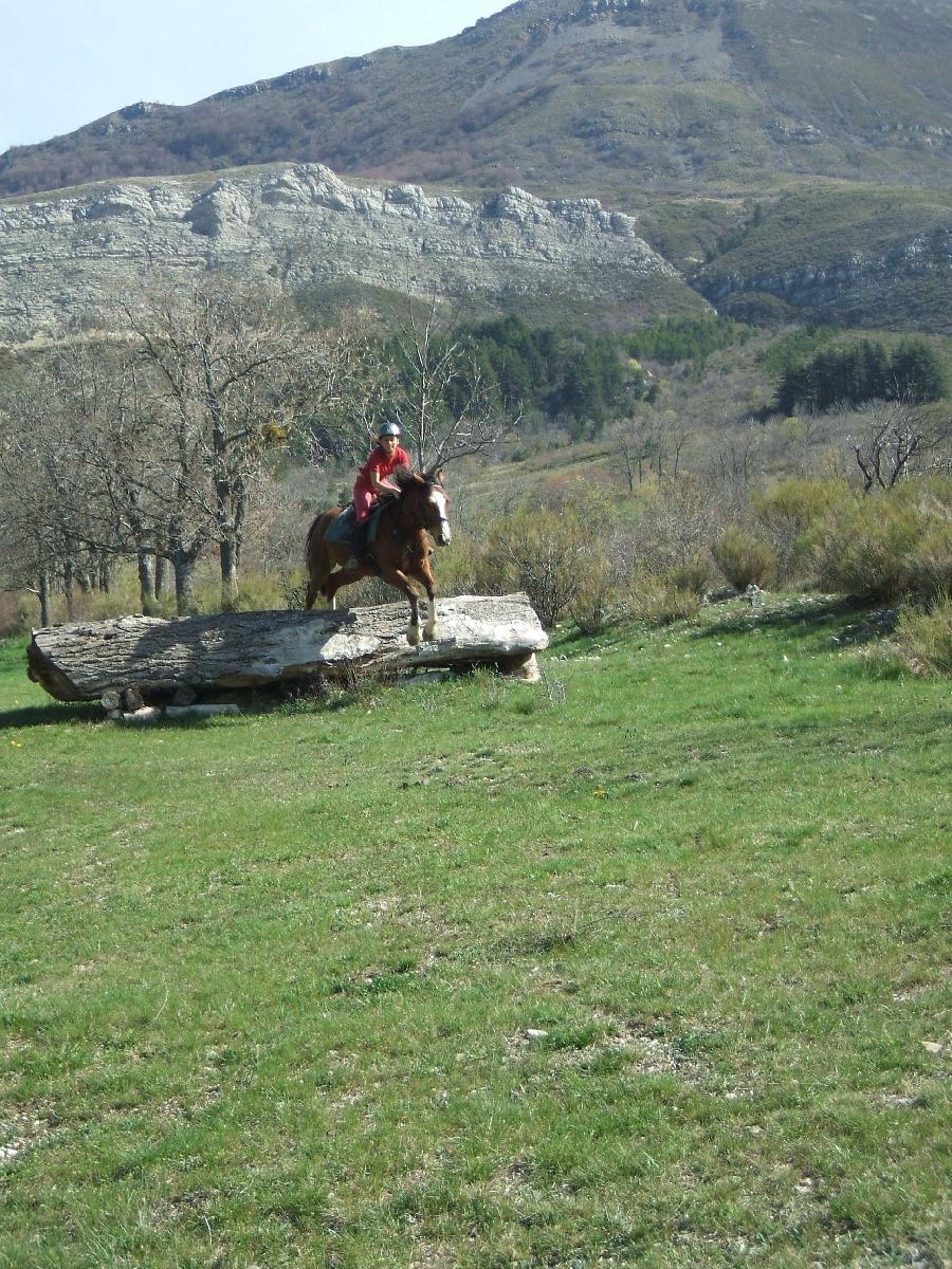 Pension cheval Saint-Geniez dans les Alpes de Haute-Provence Provence photo 2