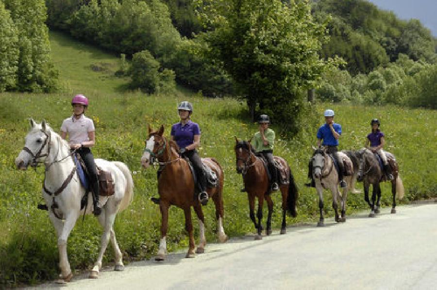 Pension cheval Carcassonne-Verzeille dans l'Aude  photo 5