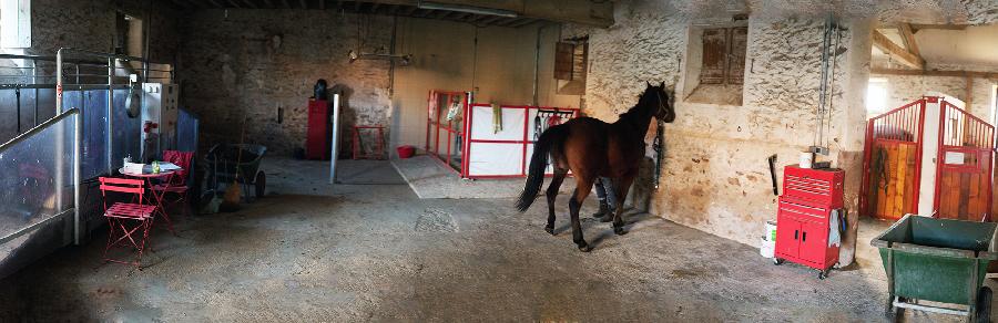 Pension cheval Sonchamp dans les Yvelines Forêt de Rambouillet photo 6