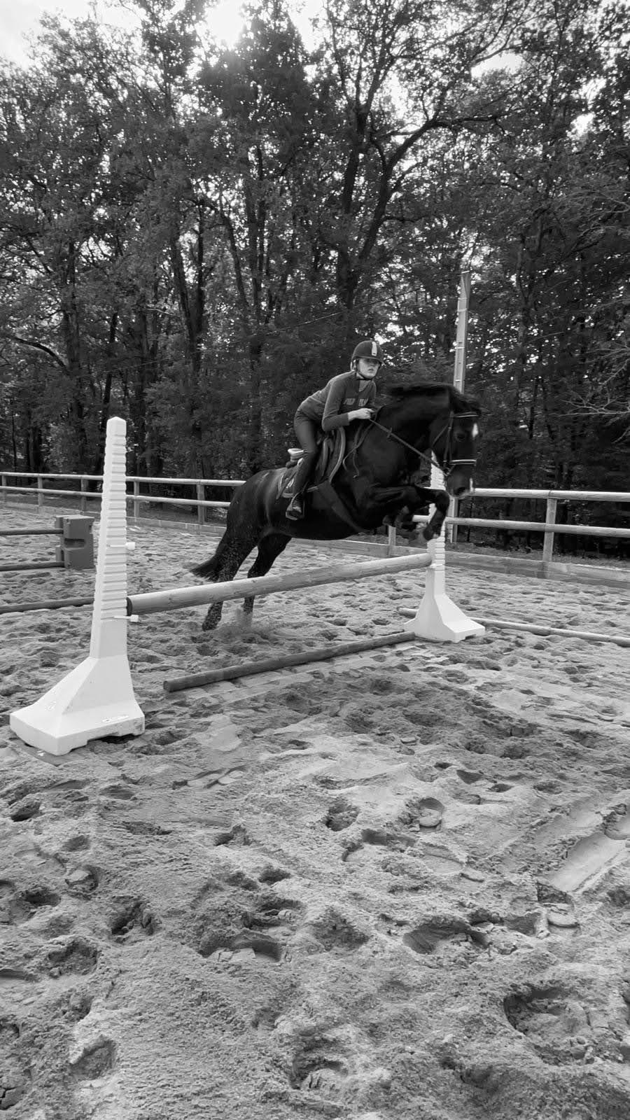 Pension cheval Baneuil en Dordogne Périgord photo 5